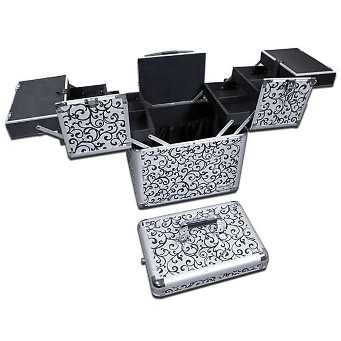 Artizta Stardust Coco Professional Case 6071BS