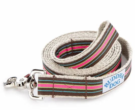 Compo  Leash