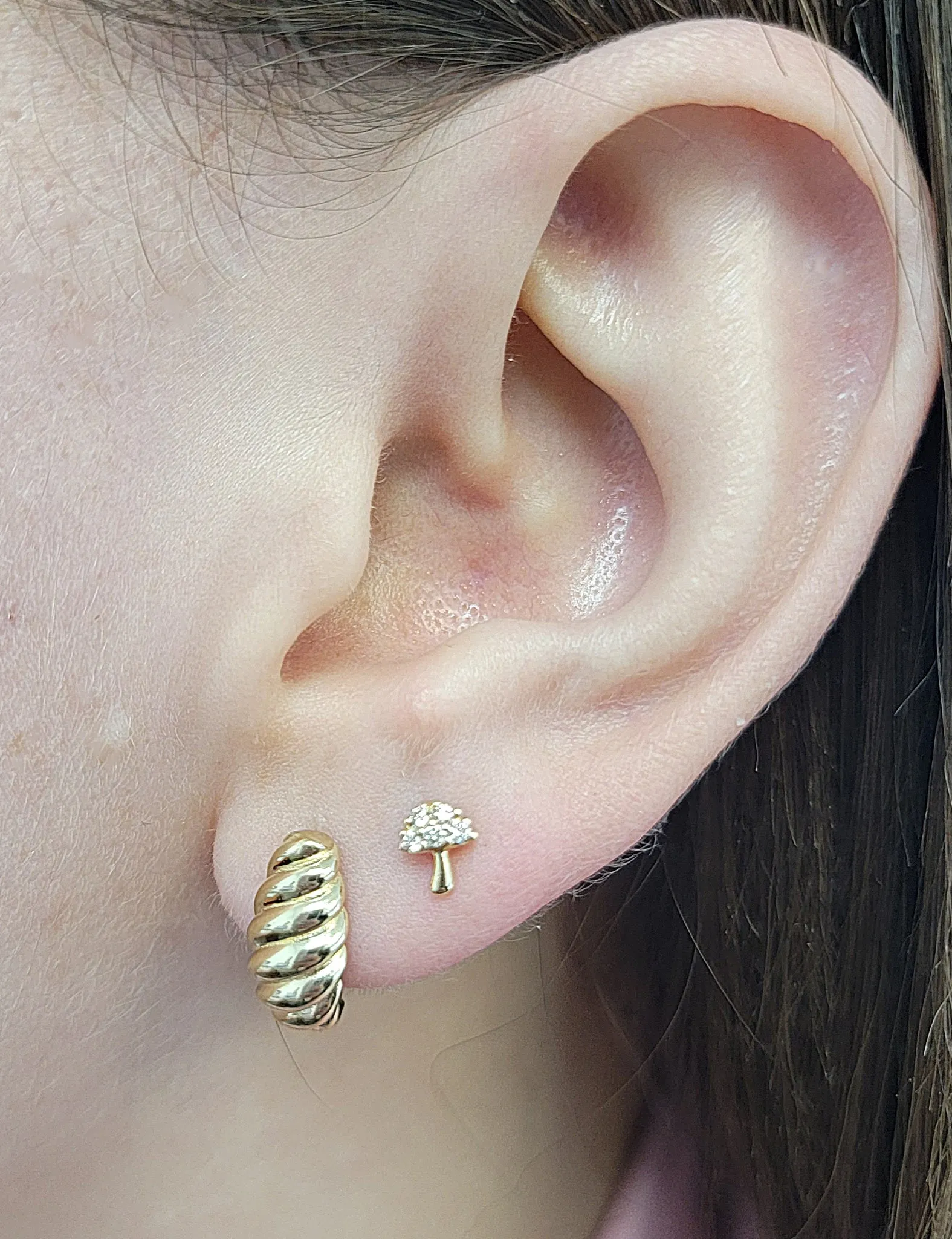 Croissant Earring
