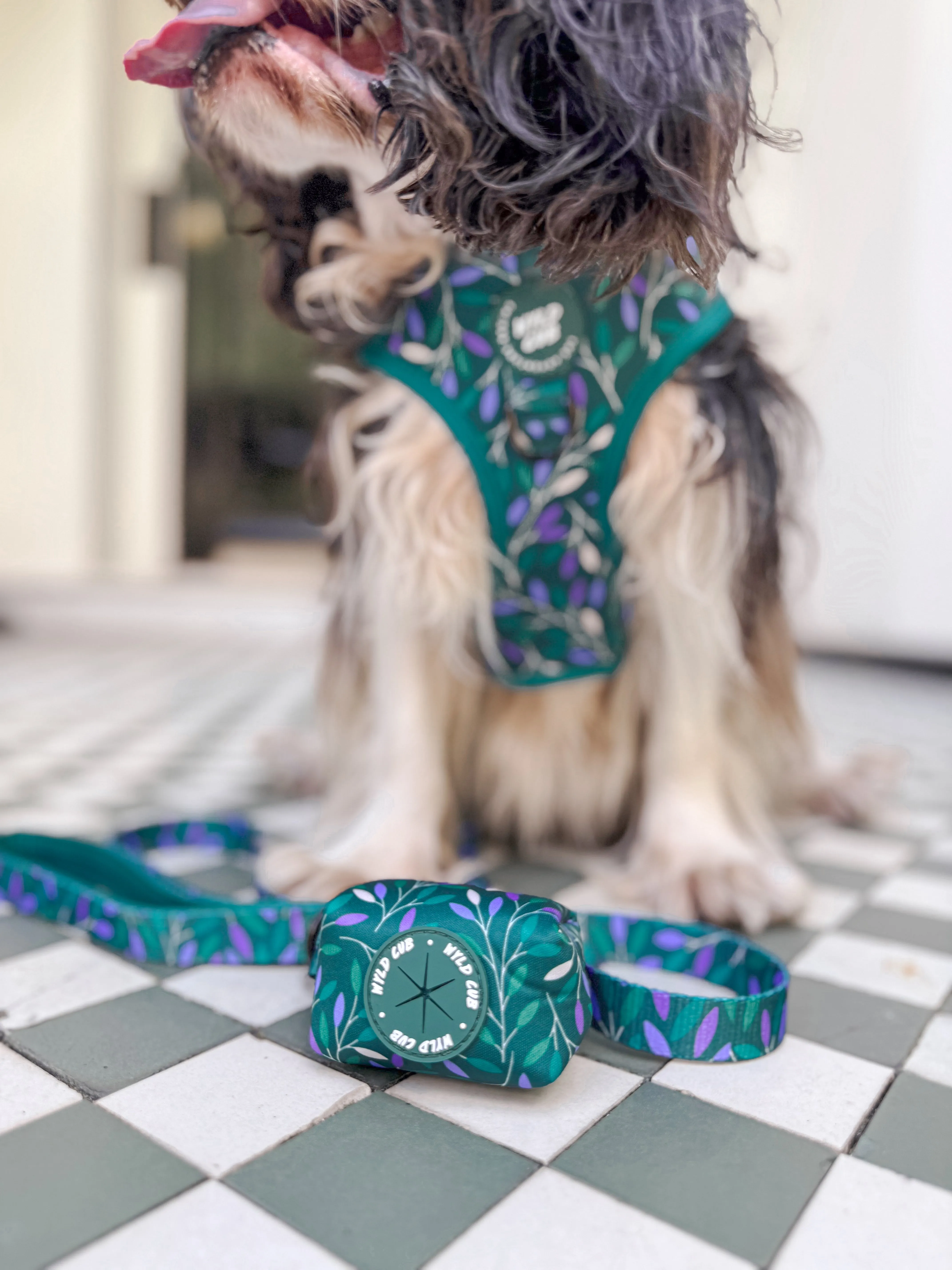 Dog Poop Bag Holder: Hampstead Evergreen