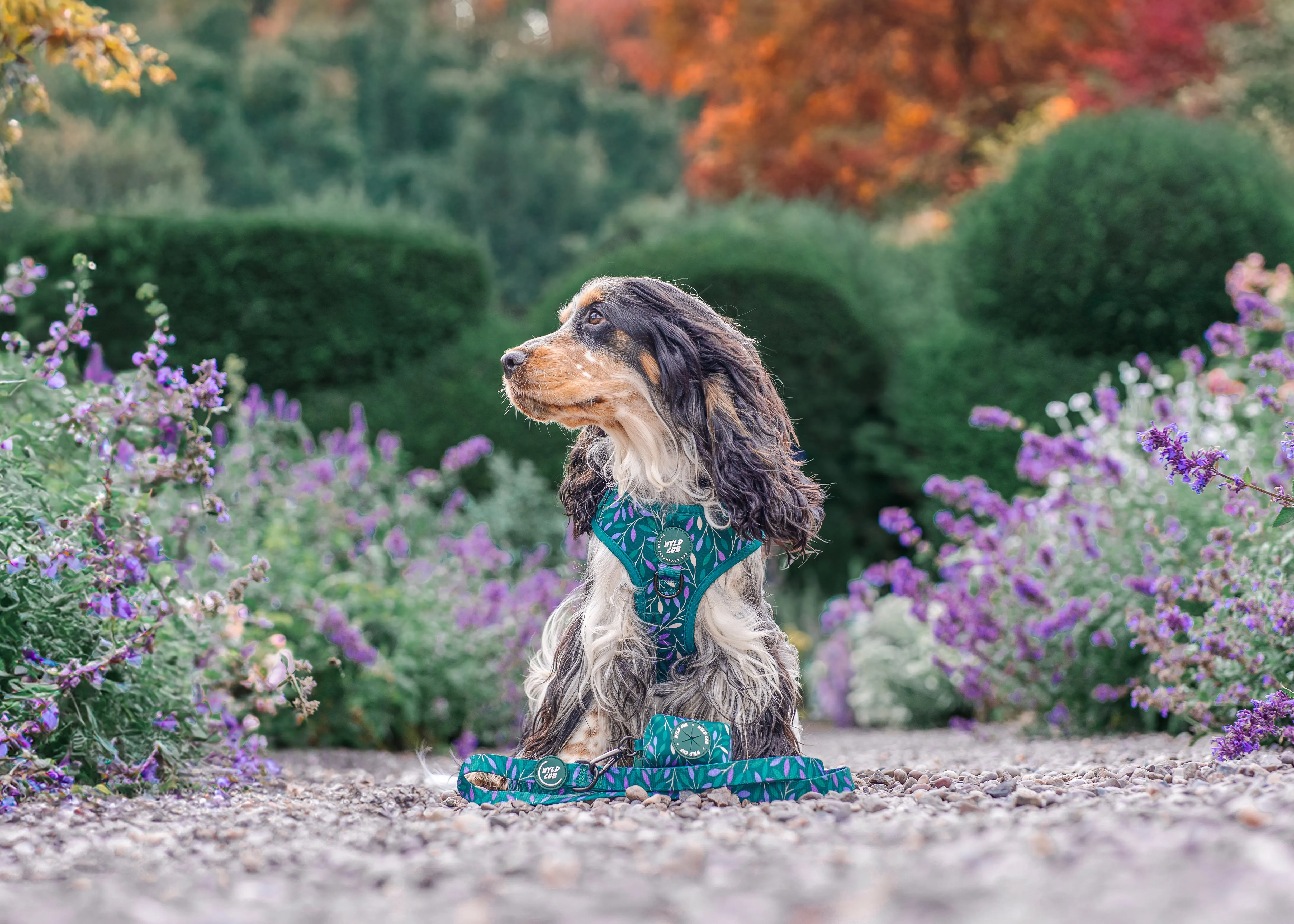 Dog Poop Bag Holder: Hampstead Evergreen