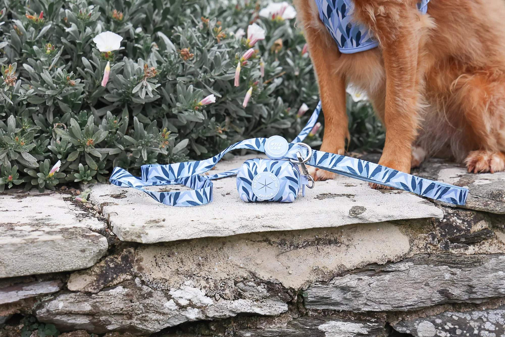 Dog Poop Bag Holder: Kew Celeste