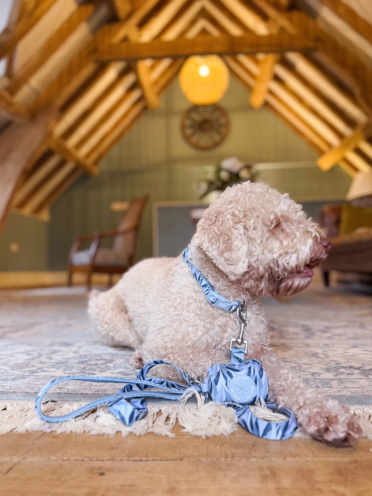 Dog Poop Bag Holder: Kew Celeste