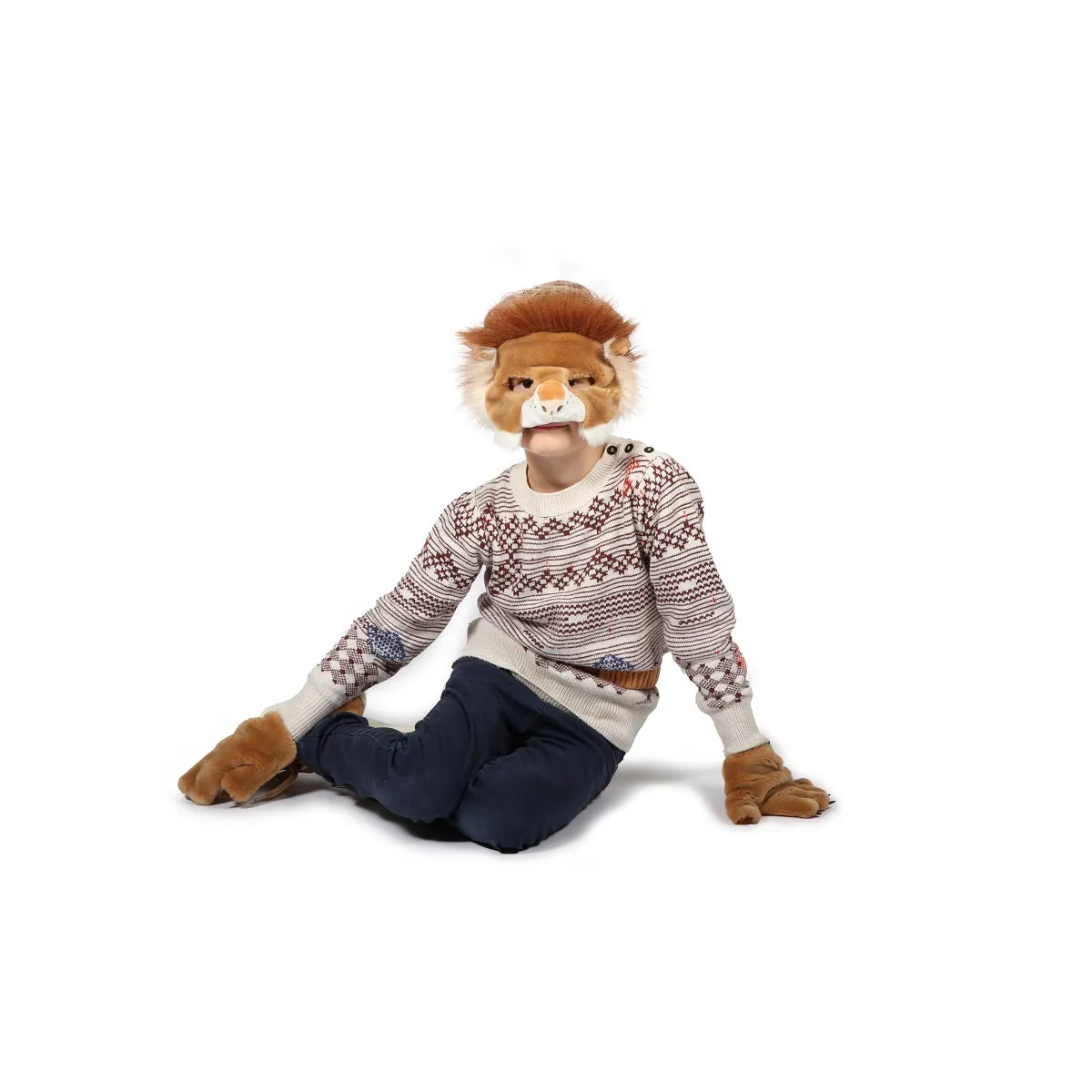 Dress Up Set - Lion