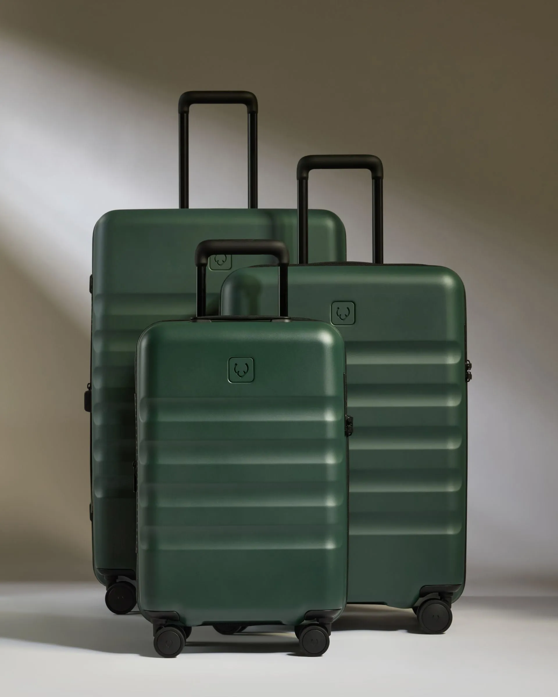 Expandable Carry-on Luggage Set in Antler Green - Icon Stripe