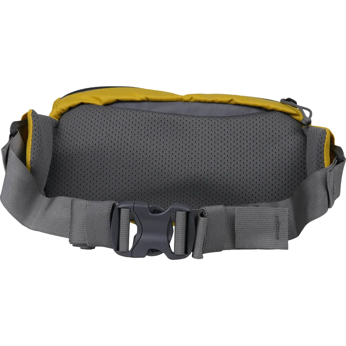 Forager Hip Pack 2.5L
