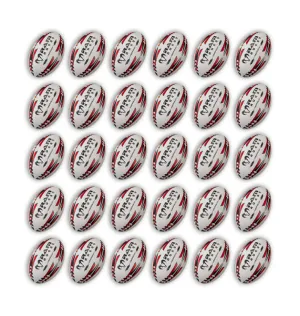 Gripper 2.0 Pro Trainer Ball Bundle - 30 x balls and 2 bags