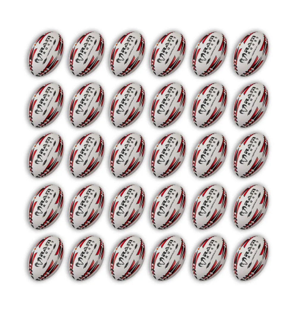 Gripper 2.0 Pro Trainer Ball Bundle - 30 x balls and 2 bags