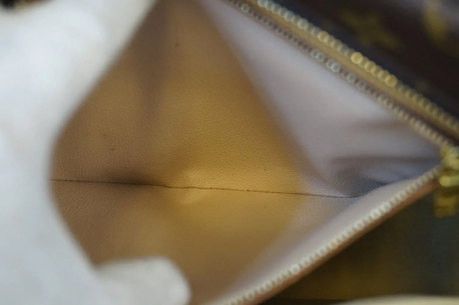 LOUIS VUITTON Monogram  Luco Tote Bag