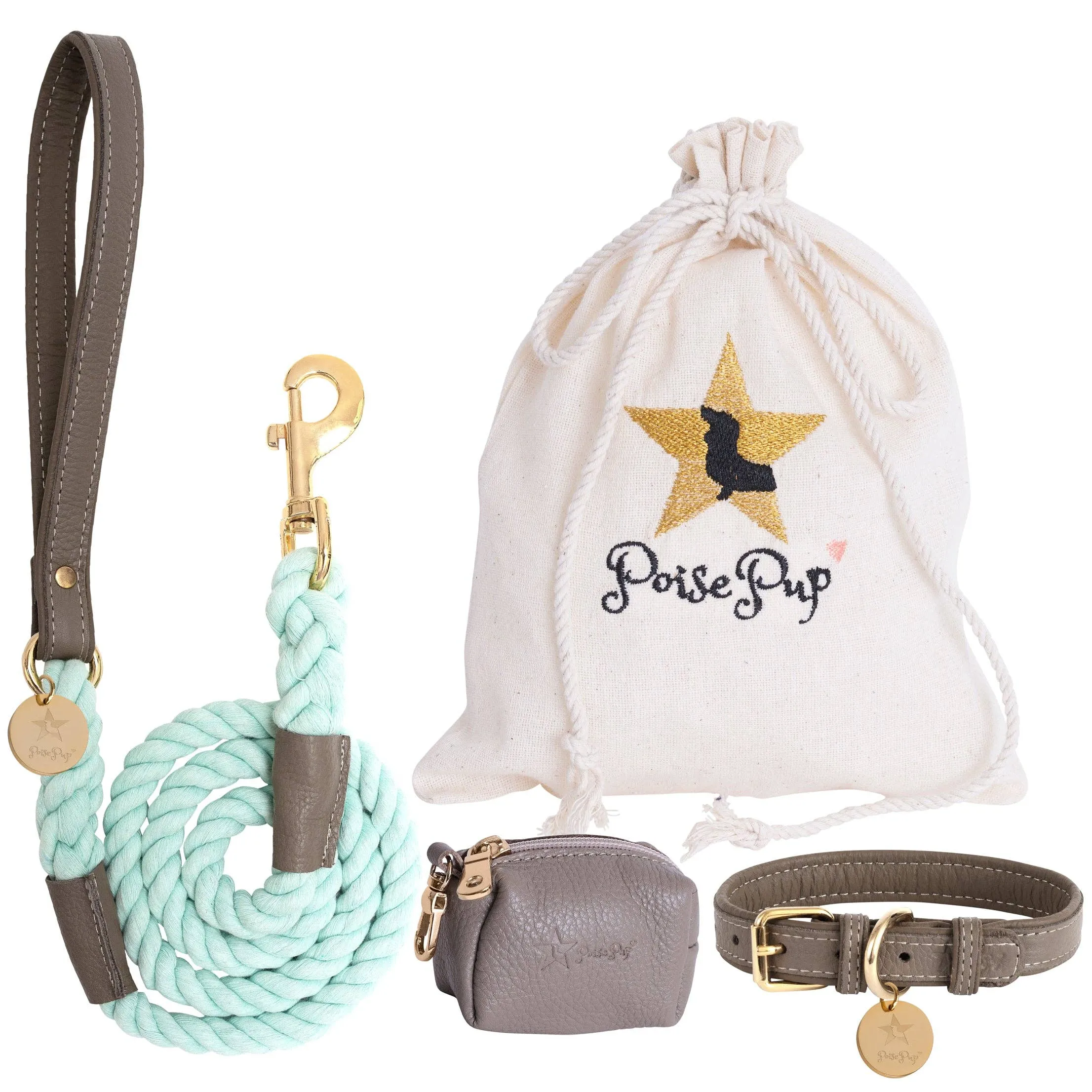 PoisePup - HARNESS - DESERT MINT