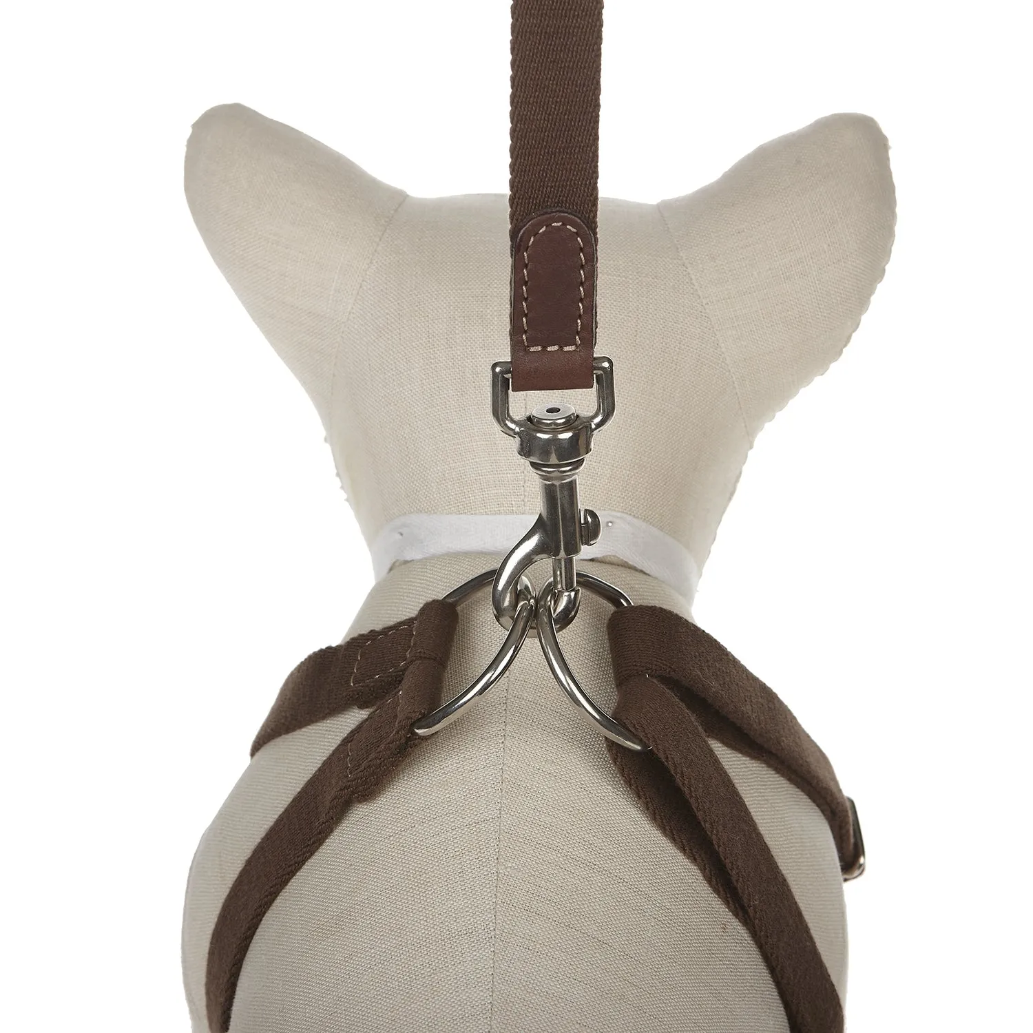 Ring Dog Harness