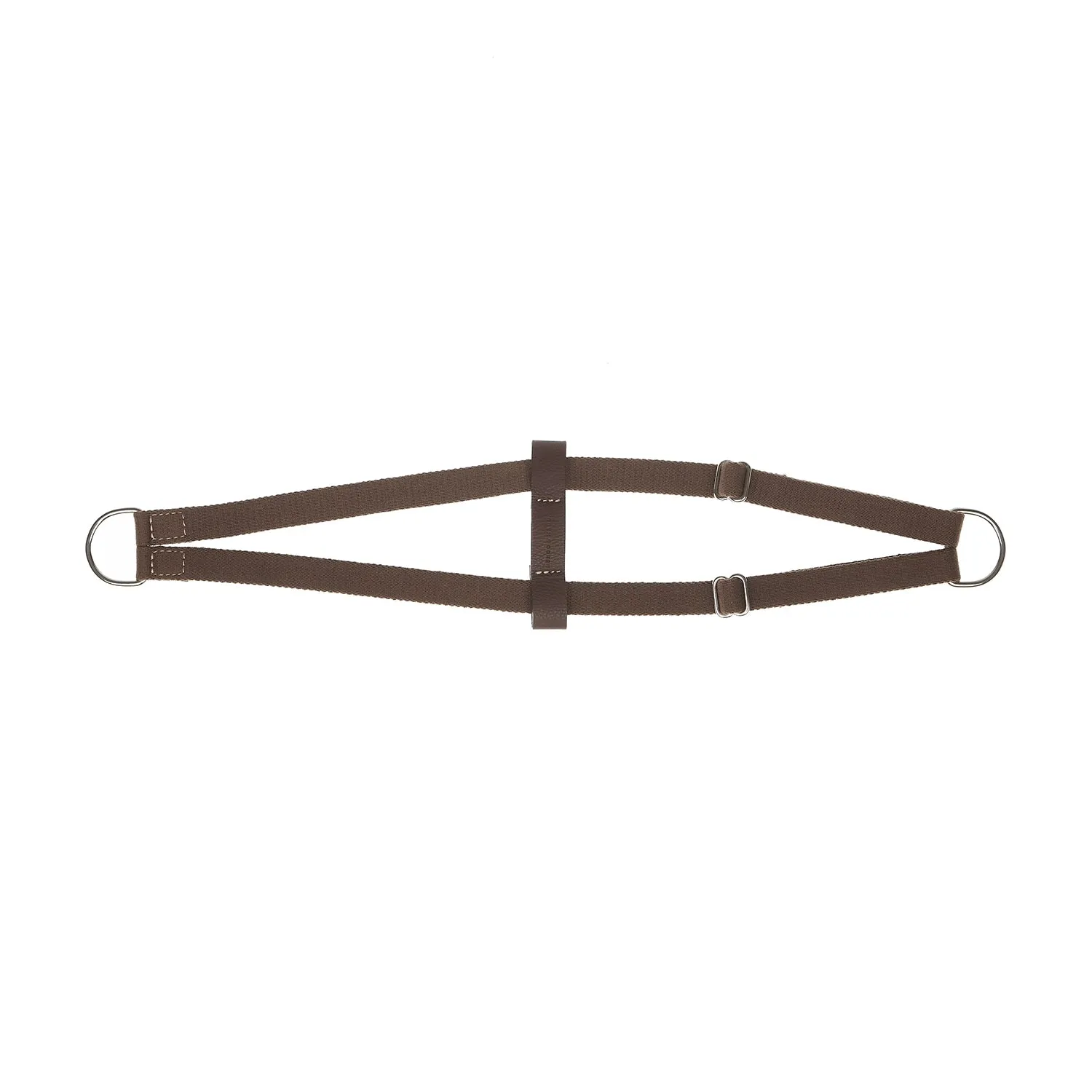 Ring Dog Harness