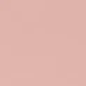 SHIRLEY LEATHER BAG | DARK BLUSH